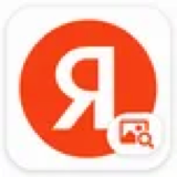 Yandex Reverse Image Search icon